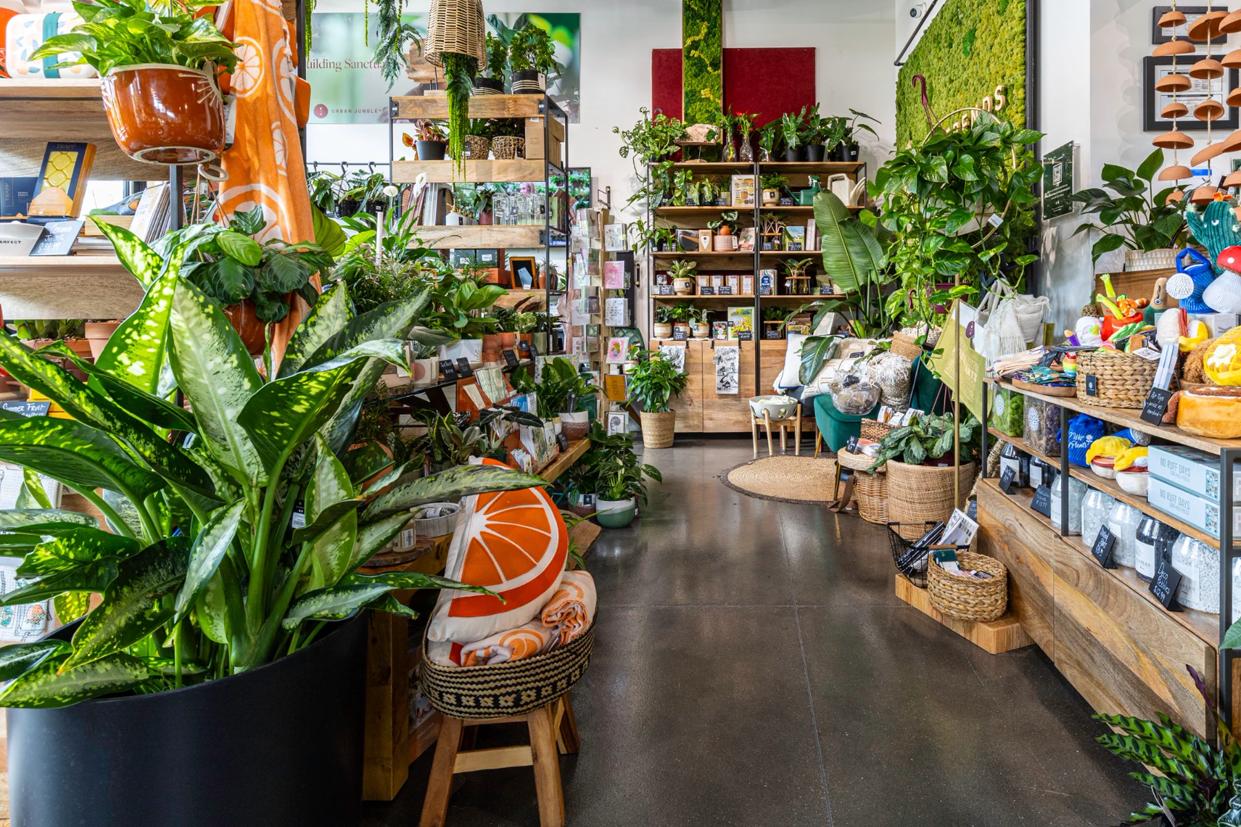 Fotografia de interiores comerciais da LiveTrends Boutique em Winter Garden