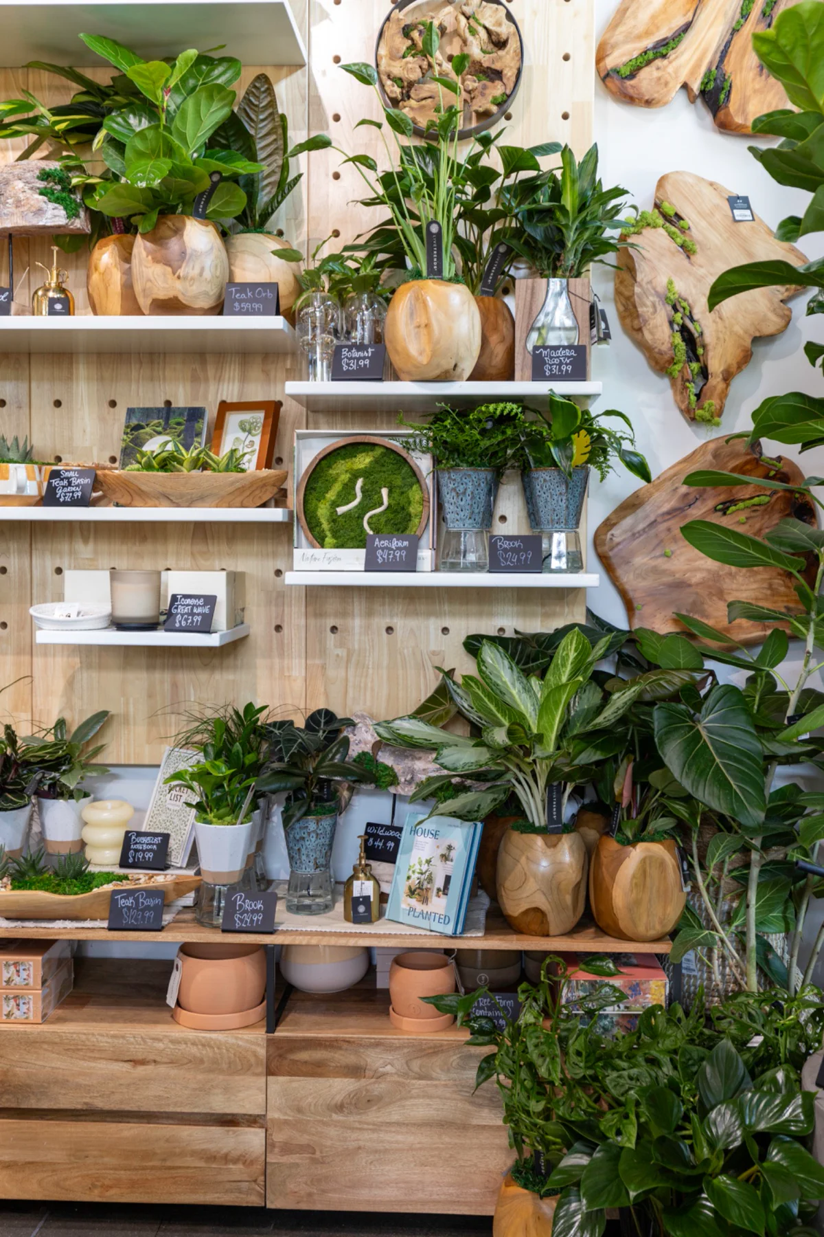 Fotografia comercial de plantas e artigos de decoração da LiveTrends Boutique